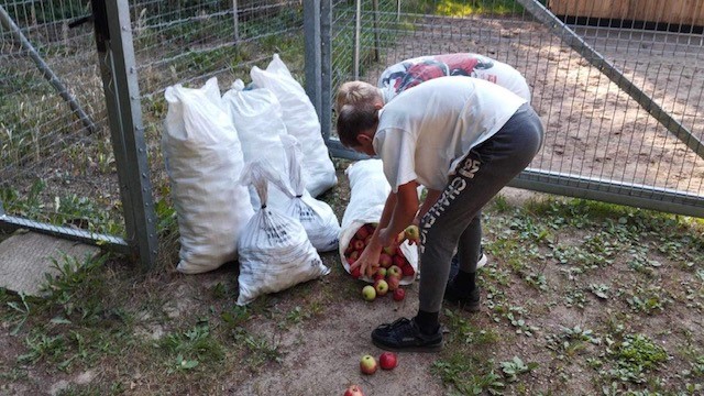 Pilietinė akcija ,,Gera daryti gera“